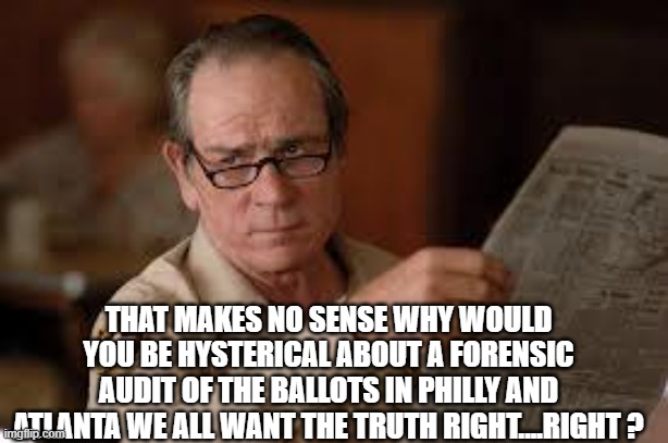 no country for old men tommy lee jones | THAT MAKES NO SENSE WHY WOULD YOU BE HYSTERICAL ABOUT A FORENSIC AUDIT OF THE BALLOTS IN PHILLY AND ATLANTA WE ALL WANT THE TRUTH RIGHT....R | image tagged in no country for old men tommy lee jones | made w/ Imgflip meme maker