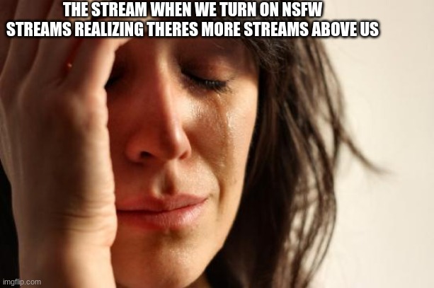 First World Problems | THE STREAM WHEN WE TURN ON NSFW STREAMS REALIZING THERES MORE STREAMS ABOVE US | image tagged in memes,first world problems | made w/ Imgflip meme maker