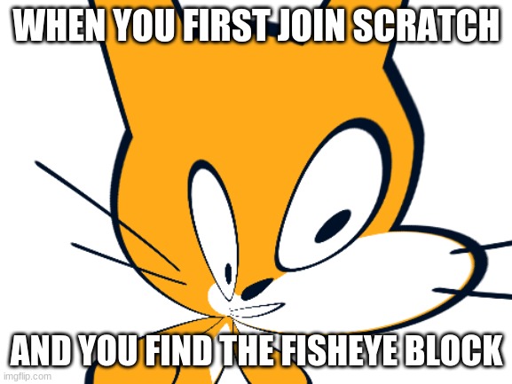 WHEN YOU FIRST JOIN SCRATCH; AND YOU FIND THE FISHEYE BLOCK | image tagged in tis but a scratch,scratch | made w/ Imgflip meme maker