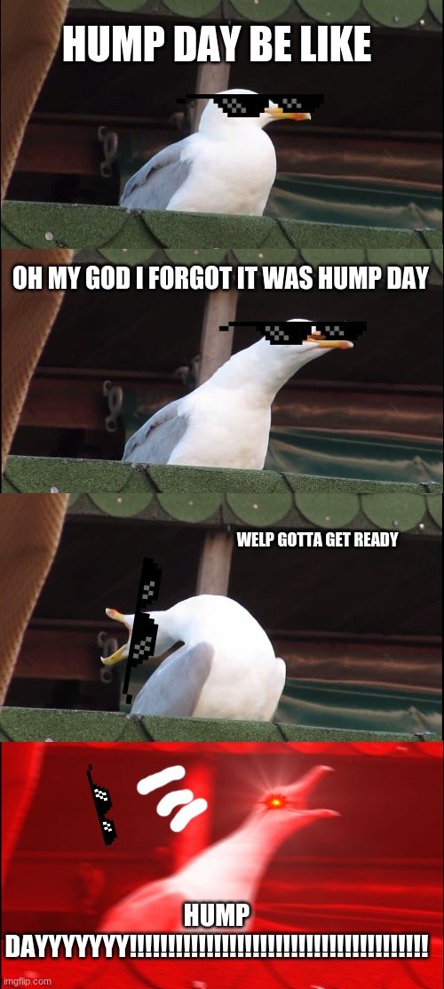 Inhaling Seagull Meme | HUMP DAY BE LIKE; OH MY GOD I FORGOT IT WAS HUMP DAY; WELP GOTTA GET READY; HUMP DAYYYYYYY!!!!!!!!!!!!!!!!!!!!!!!!!!!!!!!!!!!!!!! | image tagged in memes,inhaling seagull | made w/ Imgflip meme maker