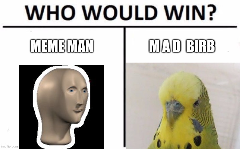 who would win? | MEME MAN; M A D  BIRB | image tagged in memes,who would win | made w/ Imgflip meme maker