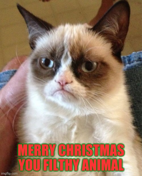 I don't know. Not a good meme | MERRY CHRISTMAS YOU FILTHY ANIMAL | image tagged in memes,grumpy cat | made w/ Imgflip meme maker
