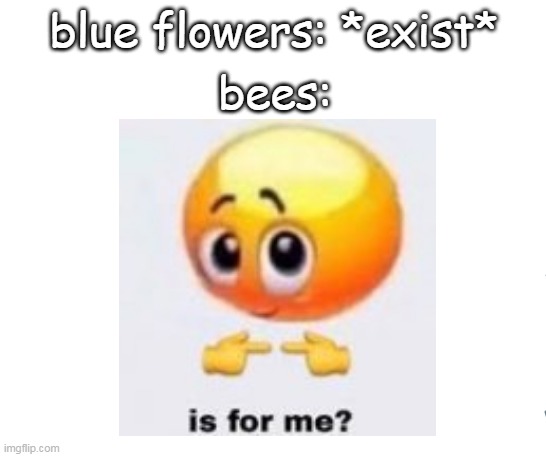 bees:; blue flowers: *exist* | image tagged in education,bees | made w/ Imgflip meme maker