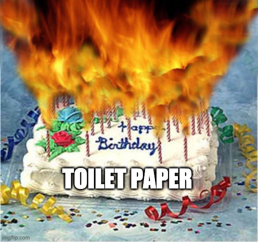 flaming birthday cake | TOILET PAPER | image tagged in flaming birthday cake | made w/ Imgflip meme maker