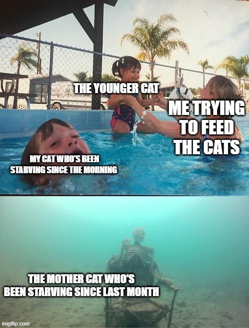 me and my cats | THE YOUNGER CAT; ME TRYING TO FEED THE CATS; MY CAT WHO'S BEEN STARVING SINCE THE MORNING; THE MOTHER CAT WHO'S BEEN STARVING SINCE LAST MONTH | image tagged in drowning kid in the pool | made w/ Imgflip meme maker