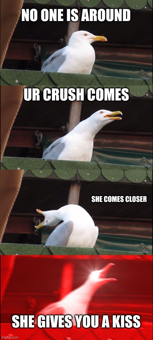 Inhaling Seagull |  NO ONE IS AROUND; UR CRUSH COMES; SHE COMES CLOSER; SHE GIVES YOU A KISS | image tagged in memes,inhaling seagull,crushs,red,lol | made w/ Imgflip meme maker