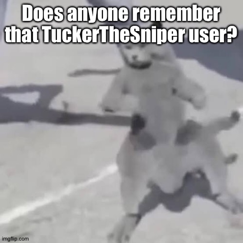 . | Does anyone remember that TuckerTheSniper user? | image tagged in cat nae nae | made w/ Imgflip meme maker