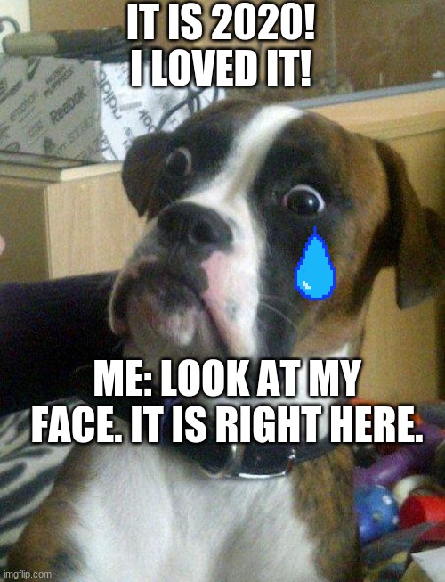 Blankie the Shocked Dog | IT IS 2020! I LOVED IT! ME: LOOK AT MY FACE. IT IS RIGHT HERE. | image tagged in blankie the shocked dog | made w/ Imgflip meme maker