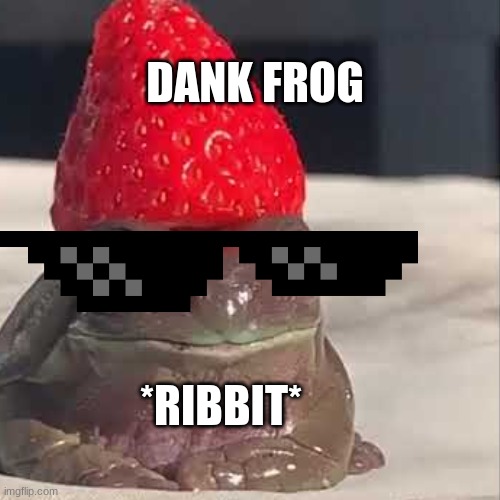 DANK FROG; *RIBBIT* | image tagged in frog,strawberry frog,dank | made w/ Imgflip meme maker