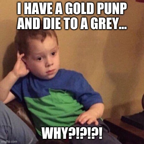 fortnite struggles for gavin | I HAVE A GOLD PUNP AND DIE TO A GREY... WHY?!?!?! | image tagged in gavin | made w/ Imgflip meme maker