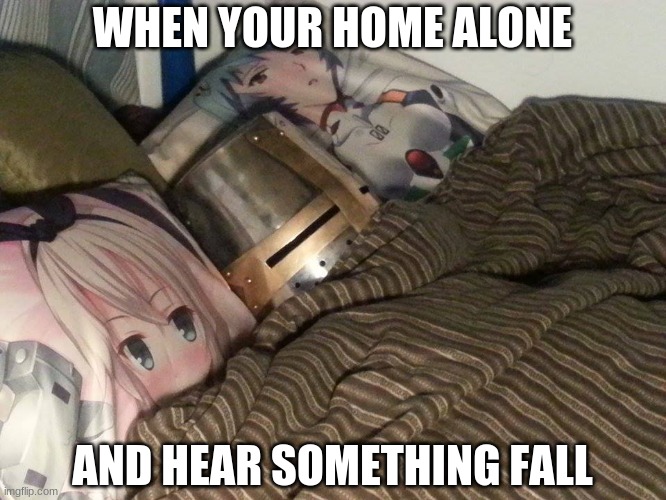 Weeb Crusader | WHEN YOUR HOME ALONE; AND HEAR SOMETHING FALL | image tagged in weeb crusader | made w/ Imgflip meme maker