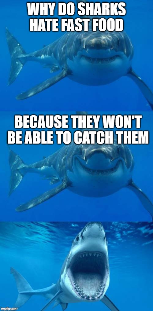 Bad Shark Pun  | WHY DO SHARKS HATE FAST FOOD; BECAUSE THEY WON'T BE ABLE TO CATCH THEM | image tagged in bad shark pun | made w/ Imgflip meme maker