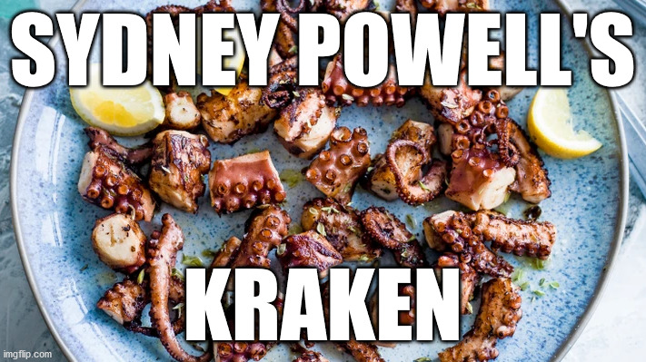 Sidney Powell's Kraken LOL | SYDNEY POWELL'S; KRAKEN | image tagged in release the kraken,kraken,delusional | made w/ Imgflip meme maker