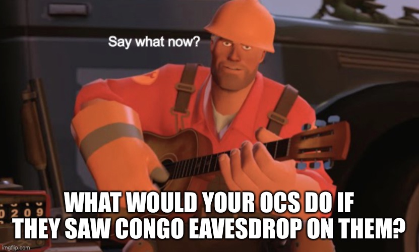 Say what now? | WHAT WOULD YOUR OCS DO IF THEY SAW CONGO EAVESDROP ON THEM? | image tagged in say what now,oc | made w/ Imgflip meme maker