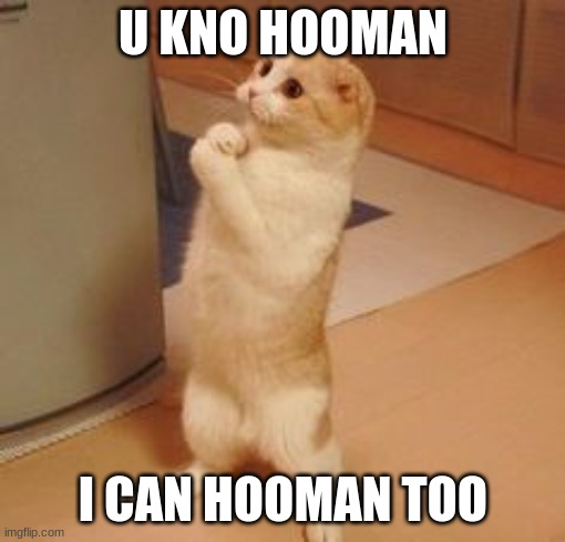 lolcats3700 | U KNO HOOMAN; I CAN HOOMAN TOO | image tagged in lolcats3700 | made w/ Imgflip meme maker