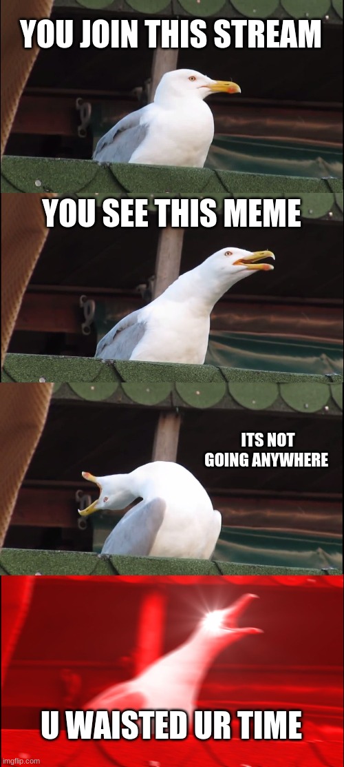 Inhaling Seagull | YOU JOIN THIS STREAM; YOU SEE THIS MEME; ITS NOT GOING ANYWHERE; U WASTED UR TIME | image tagged in memes,inhaling seagull | made w/ Imgflip meme maker