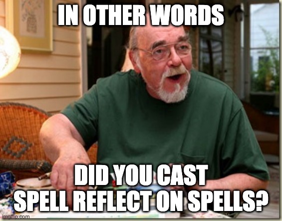 Dungeon Master | IN OTHER WORDS DID YOU CAST SPELL REFLECT ON SPELLS? | image tagged in dungeon master | made w/ Imgflip meme maker
