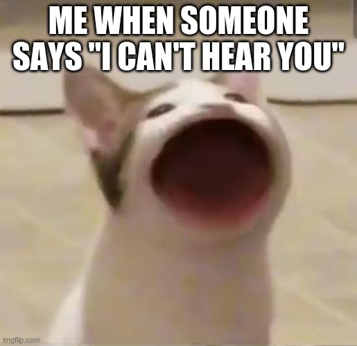 I CANT HEAR YOU! | ME WHEN SOMEONE SAYS "I CAN'T HEAR YOU" | image tagged in pop cat | made w/ Imgflip meme maker