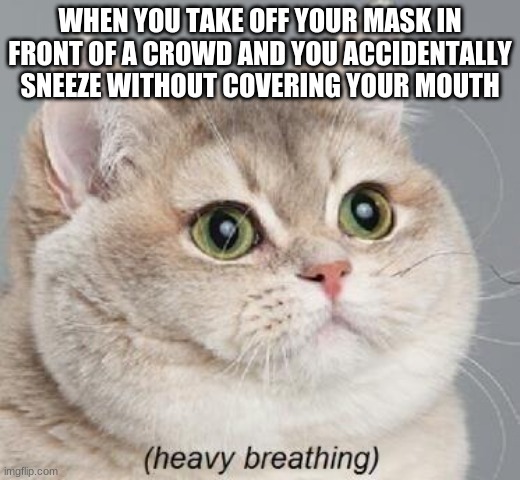 Heavy Breathing Cat Meme | WHEN YOU TAKE OFF YOUR MASK IN FRONT OF A CROWD AND YOU ACCIDENTALLY SNEEZE WITHOUT COVERING YOUR MOUTH | image tagged in memes,heavy breathing cat | made w/ Imgflip meme maker