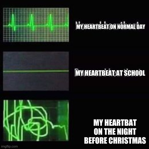 heartbeat rate | MY HEARTBEAT ON NORMAL DAY; MY HEARTBEAT AT SCHOOL; MY HEARTBAT ON THE NIGHT BEFORE CHRISTMAS | image tagged in heartbeat rate | made w/ Imgflip meme maker