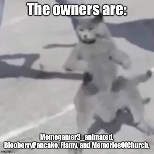 If you want mod. | The owners are:; Memegamer3_animated, BlooberryPancake, Flamy, and MemoriesOfChurch. | image tagged in cat nae nae | made w/ Imgflip meme maker