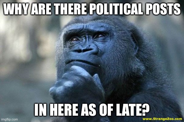 ... | WHY ARE THERE POLITICAL POSTS; IN HERE AS OF LATE? | image tagged in deep thoughts,politics,memes,questions,funny | made w/ Imgflip meme maker