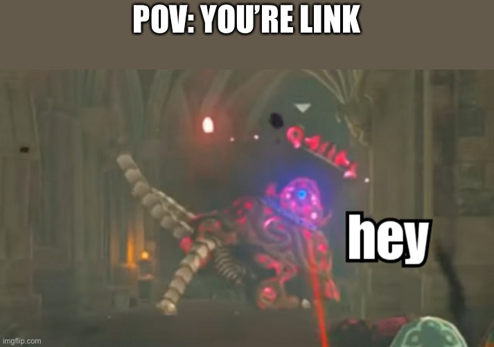 Guardian hey | POV: YOU’RE LINK | image tagged in guardian hey | made w/ Imgflip meme maker