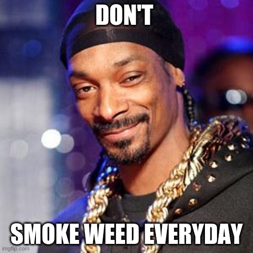 hell no | DON'T; SMOKE WEED EVERYDAY | image tagged in snoop dogg | made w/ Imgflip meme maker
