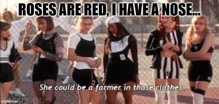 Clueless is my religion | ROSES ARE RED, I HAVE A NOSE... | image tagged in clueless,religion,points | made w/ Imgflip meme maker