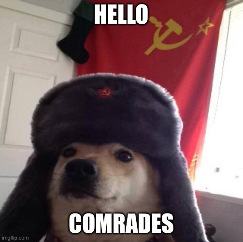 Dog | HELLO; COMRADES | image tagged in russian doge | made w/ Imgflip meme maker