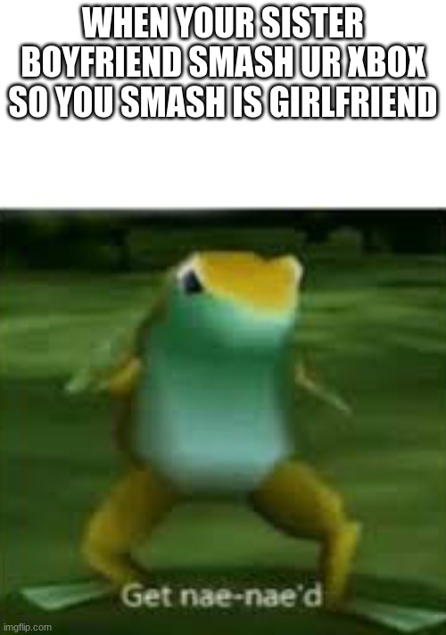 Get nae nae'd | WHEN YOUR SISTER BOYFRIEND SMASH UR XBOX SO YOU SMASH IS GIRLFRIEND | image tagged in get nae nae'd | made w/ Imgflip meme maker
