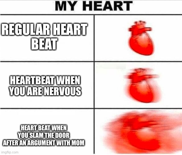 Heartbeat | REGULAR HEART
BEAT; HEARTBEAT WHEN YOU ARE NERVOUS; HEART BEAT WHEN YOU SLAM THE DOOR AFTER AN ARGUMENT WITH MOM | image tagged in heartbeat | made w/ Imgflip meme maker