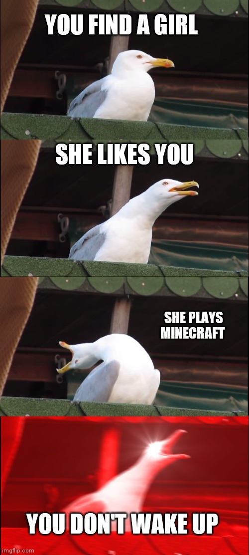 Inhaling Seagull | YOU FIND A GIRL; SHE LIKES YOU; SHE PLAYS MINECRAFT; YOU DON'T WAKE UP | image tagged in memes,inhaling seagull | made w/ Imgflip meme maker