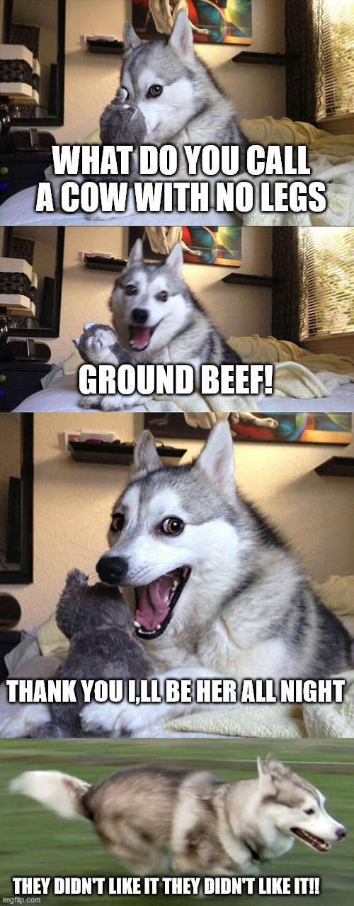 WHAT DO YOU CALL A COW WITH NO LEGS; GROUND BEEF! THANK YOU I,LL BE HER ALL NIGHT; THEY DIDN'T LIKE IT THEY DIDN'T LIKE IT!! | image tagged in memes,bad pun dog | made w/ Imgflip meme maker