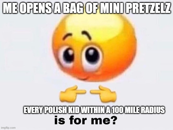 Is it for me? | ME OPENS A BAG OF MINI PRETZELZ; EVERY POLISH KID WITHIN A 100 MILE RADIUS | image tagged in its finally over | made w/ Imgflip meme maker