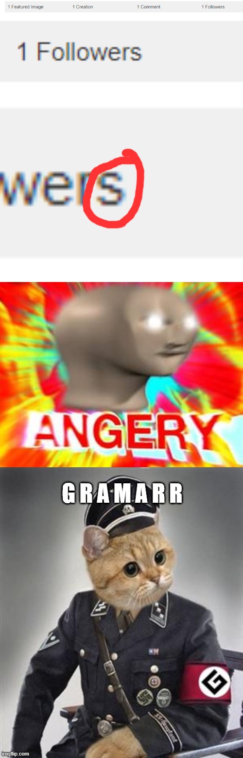 G R A M A R R | image tagged in surreal angery,grammar nazi cat | made w/ Imgflip meme maker