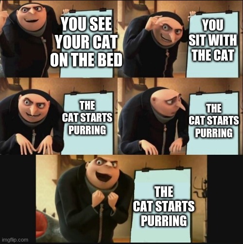 gru | YOU SIT WITH THE CAT; YOU SEE YOUR CAT ON THE BED; THE CAT STARTS PURRING; THE CAT STARTS PURRING; THE CAT STARTS PURRING | image tagged in 5 panel gru meme | made w/ Imgflip meme maker