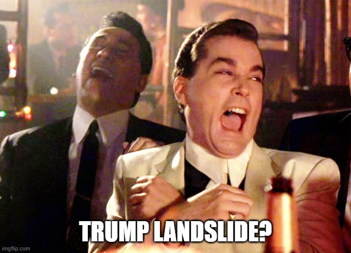 Trump Landslide? | TRUMP LANDSLIDE? | image tagged in good fellas hilarious,trump landslide,trump lost,biden won,losers,magats | made w/ Imgflip meme maker