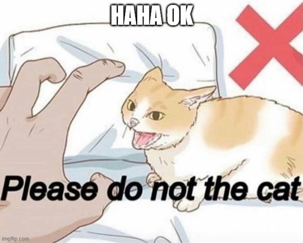 Please do not the cat | HAHA OK | image tagged in please do not the cat | made w/ Imgflip meme maker