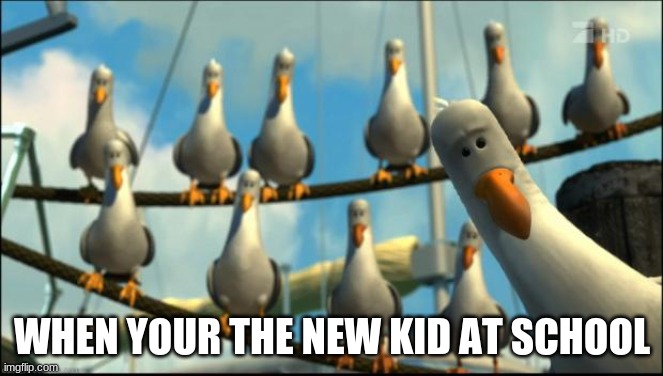 Nemo Seagulls Mine | WHEN YOUR THE NEW KID AT SCHOOL | image tagged in nemo seagulls mine,funny,nemo,school,new kid | made w/ Imgflip meme maker