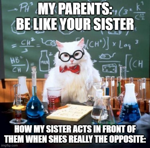 Chemistry Cat Meme | MY PARENTS: BE LIKE YOUR SISTER; HOW MY SISTER ACTS IN FRONT OF THEM WHEN SHES REALLY THE OPPOSITE: | image tagged in memes,chemistry cat | made w/ Imgflip meme maker