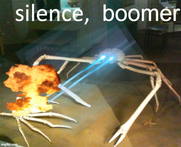 boomer | image tagged in silence crab | made w/ Imgflip meme maker