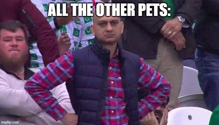 Angry Pakistani Fan | ALL THE OTHER PETS: | image tagged in angry pakistani fan | made w/ Imgflip meme maker