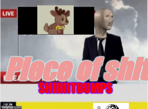 repost this meme but add something new. | Piece of shit; SHIIIIITBUMPS | image tagged in tiktok news | made w/ Imgflip meme maker