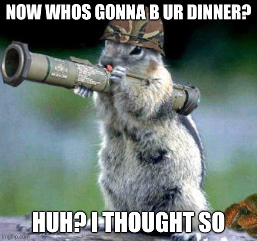 DINER? NOPE! | NOW WHOS GONNA B UR DINNER? HUH? I THOUGHT SO | image tagged in memes,bazooka squirrel | made w/ Imgflip meme maker