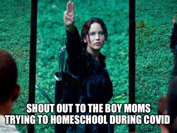 Hunger Games 2 | SHOUT OUT TO THE BOY MOMS TRYING TO HOMESCHOOL DURING COVID | image tagged in hunger games 2 | made w/ Imgflip meme maker