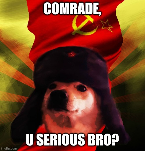 Comrade Doge | COMRADE, U SERIOUS BRO? | image tagged in comrade doge | made w/ Imgflip meme maker