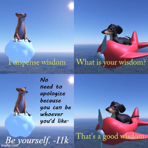 that's a good wisdom, I1k | No need to apologize because you can be whoever you'd like. Be yourself. -I1k | image tagged in that's a good wisdom,words of wisdom,inspirational quote,be yourself,good advice,imgflipper | made w/ Imgflip meme maker