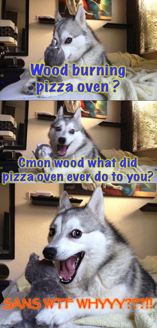 Gotcha paps | Wood burning pizza oven ? Cmon wood what did pizza oven ever do to you? SANS WTF WHYYY???!! | image tagged in memes,bad pun dog | made w/ Imgflip meme maker