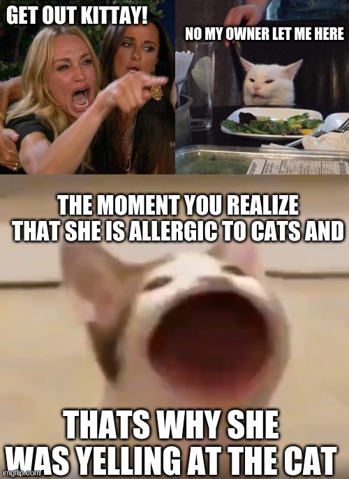 NO MY OWNER LET ME HERE; GET OUT KITTAY! THE MOMENT YOU REALIZE THAT SHE IS ALLERGIC TO CATS AND; THATS WHY SHE WAS YELLING AT THE CAT | image tagged in woman yelling at cat,wide mouth cat | made w/ Imgflip meme maker